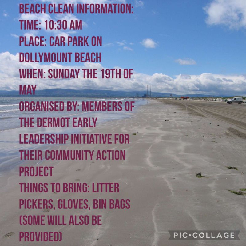 Join the Dermot Early Leadership Programme Community Beach Clean-Up!